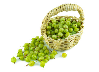 gooseberries isolated on white background