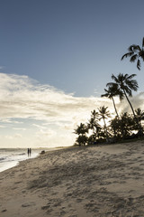 Fototapeta premium father and son walking on the beach with a Beautiful sunset over the sea with a view at palms trees in Praia do forte, Bahia, Brazil