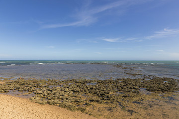 Coral reef in Praia do forte, Bahia, Brazil at sunset.
