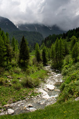 River Valley Surrounded by Trees