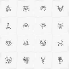 Animals line icon set with deer, bear and penguin