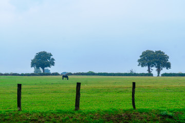 Countryside in Nievre