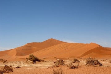 Fototapeta na wymiar Düne in der Namibwüste