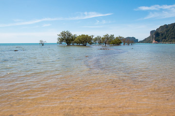 Fototapeta na wymiar marée haute sur un petit ilot d'arbre sur koh phi phi en Thailande