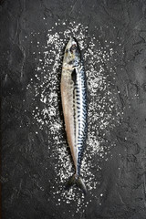 Whole raw organic fish mackerel with sea salt.Top view with copy space.