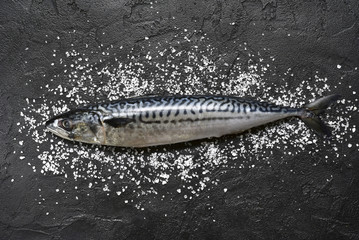 Whole raw organic fish mackerel with sea salt.Top view with copy space.