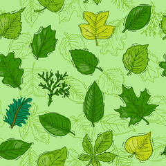 Leaf vector green leaves of trees leafed oak and leafy maple or leafing foliage illustration of leafage in spring set with leafage seamless pattern background