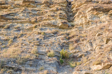 Rock naked breed on a cliff, rocks near the sea.