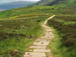 Fototapeta premium Cleveland Way long distance footpath near Osmotherley in the North York Moors, North Yorkshire, England