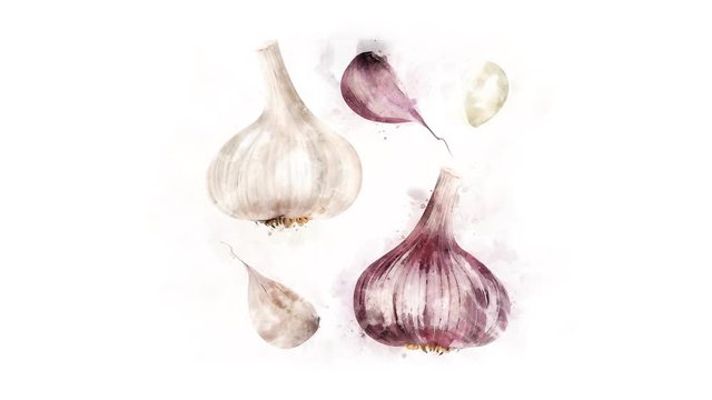 Garlic drawing animation