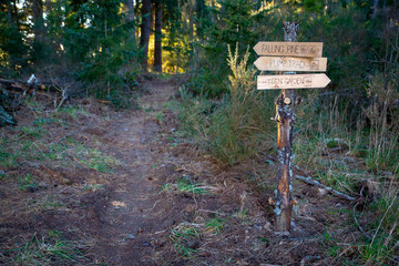 The entrance to a bike track through the forest 