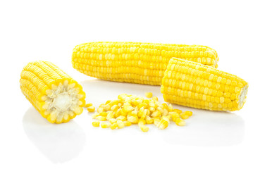 Sweet whole kernel corn and ears of corn on white