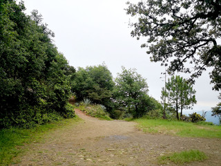 Camino montaña