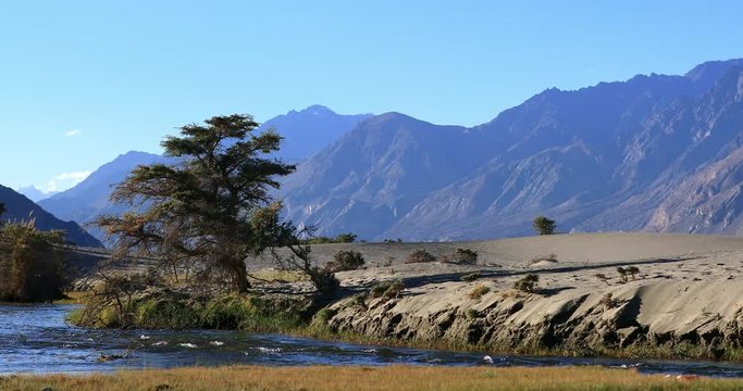 4K 60p Video of Nubra Valley beautiful nature in Ladakh, India. Fresh water river flows among sand dunes with Himalaya mountains on background