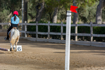 Close Up of Obstacles on Blur Man Riding a Horse in a Riding School during a Competition on Blur...