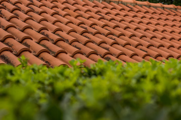 unfocused shingles red house roof background and green garden plant foreground empty yard exterior concept with space for copy or text