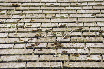 Old cedar shakes on a barn roof