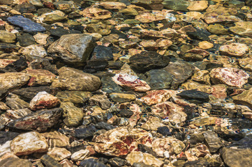 Valley, water and stones scenery  