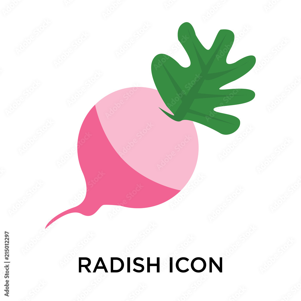 Poster radish icons isolated on white background. modern and editable radish icon. simple icon vector illus