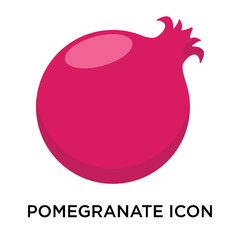 pomegranate icons isolated on white background. Modern and editable pomegranate icon. Simple icon vector illustration.