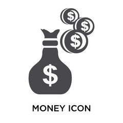 money icon on white background. Modern icons vector illustration. Trendy money icons