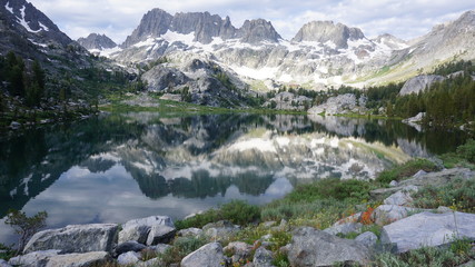 Fototapeta na wymiar Edith Lake Wildflowers and Mountains Mammoth Lakes, CA