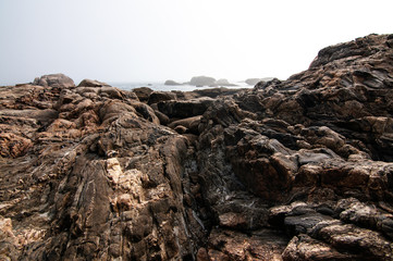 Roca