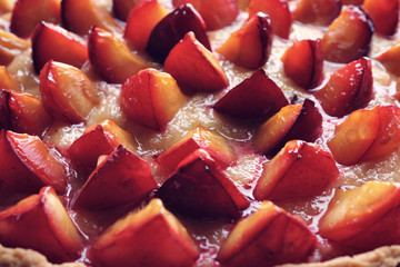 Delicious pie with plums, closeup
