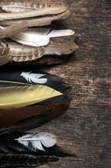 Còmhla-bhigein Uccellagione Vogelfalle Čižba Bird trapping 