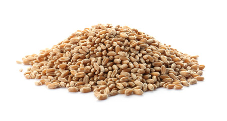 Raw wheat on white background. Healthy grains and cereals