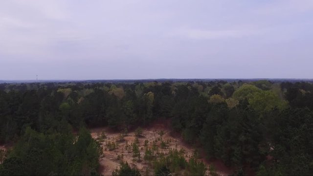 This is an air shot by a dji phantom drone of the Texas pine woods and trails that line for miles of a public hiking area in Arp Texas.