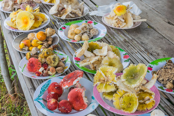 Colorful mushrooms of many species in the local market, local food by season in Thailand.