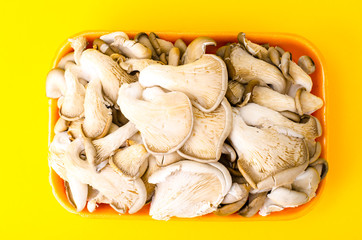 Container with fresh mushrooms