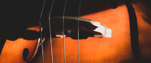 Upright Bass Abstract I