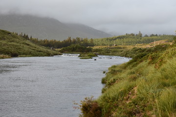 Irish Mountain Stream