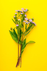 Small bunch of lilac flowers
