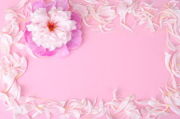Creative layout of flower and petals