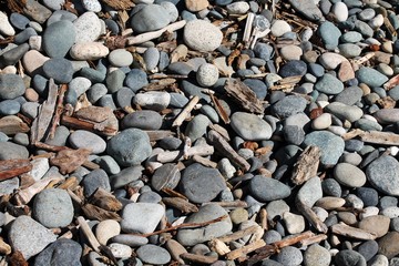 Pebble beach with driftwood flotsam horizontal background