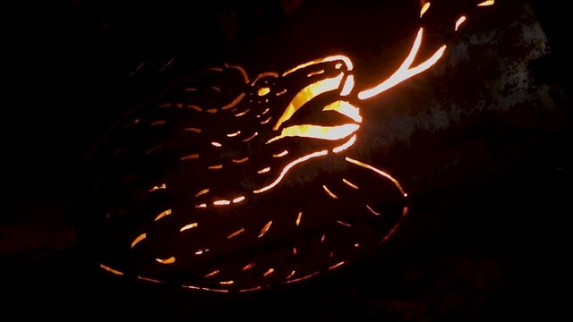 Australian fire drum art shot at night snake image
