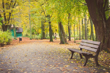 Vintage photo, Footpath with bench for relaxation in autumnal park
