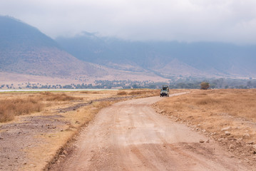 Ngorongoro  crater game driving,Tanzania