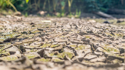 Dried cracked earth soil ground texture background.Crack soil on dry season, Global worming effect.