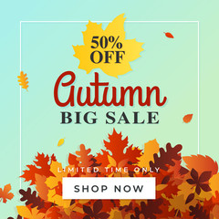 Autumn big sale background vector. 50% off fall discount flyer template. Online shop banner, card, label, poster promotion design.