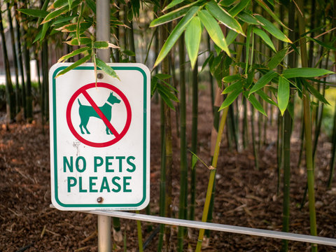 No pets please sign with dog crossed out hanging in a garden area