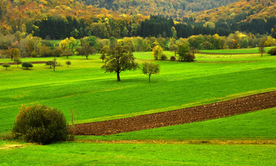 Fototapeta premium Herbstlandschaft auf der Schwaebischen Alb