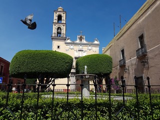 Catedral en Queretaro 