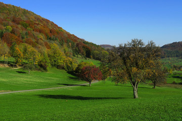 Fototapeta na wymiar Herbst auf der Schwaebischan Alb