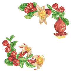 Pomegranate corner frame decorative elements