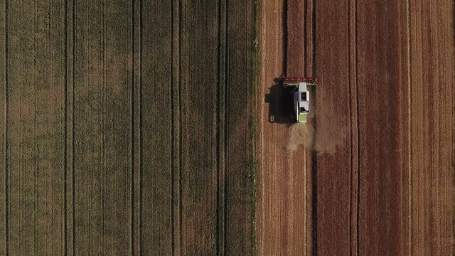 Aerial view of combine harvester on field harvesting wheat in summer