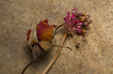 floral arrangement with dried flowers